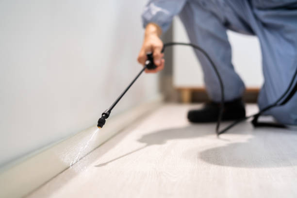 Licensed Termite Control service in Harrisburg, NC - Show Me Pest Control